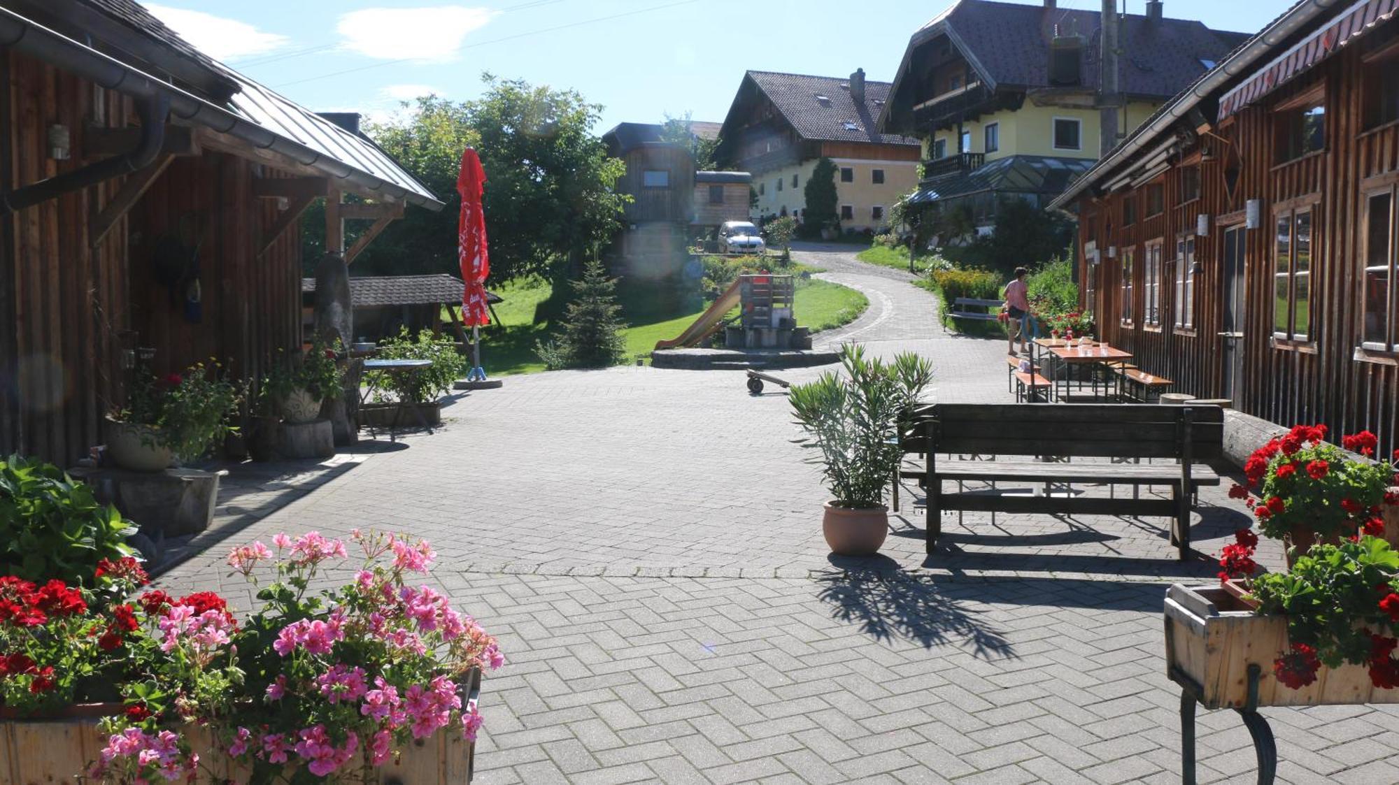 Bio Archehof Zachhiesen - Stay & Relax Seekirchen am Wallersee Extérieur photo